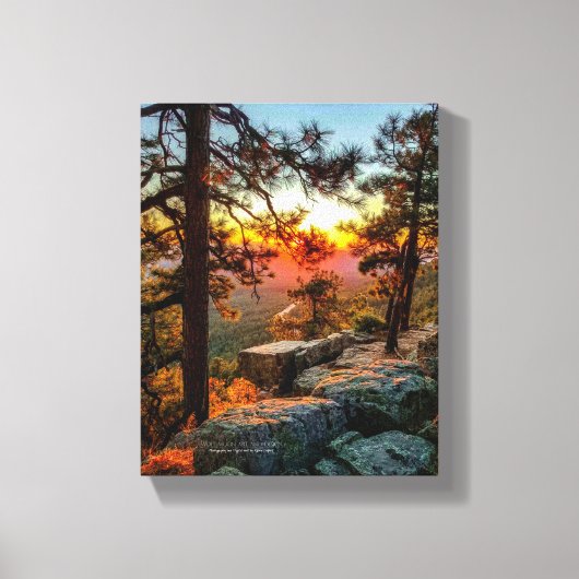 Toile Sunset Mogollon Rim Arizona Pine Trees 8x10 (Recto)