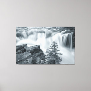 Toile Sunwapta Falls bw
