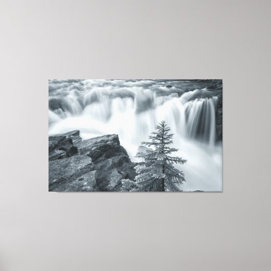 Toile Sunwapta Falls bw (Recto)