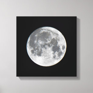 Toile Super Lune   Mendota Heights Minnesota