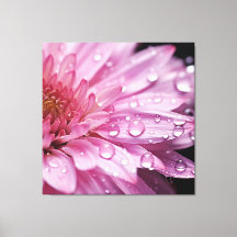 Super Macro Fleur Rose avec Raindrops