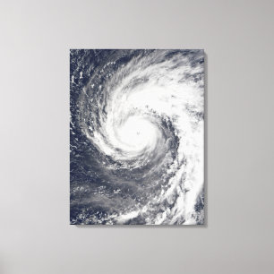 Toile Super typhon Podul