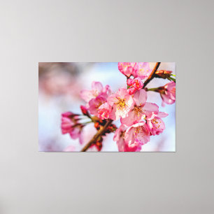 Toile Superbe Beauté Des Fleurs De Sakura Rose Au Printe