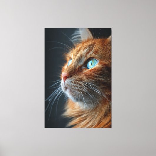 Toile Superbe Chat Roux Fluffy de Profil - Yeux Bleus (Recto)
