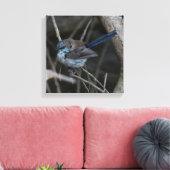 Toile Superbe Fairy-wren Bird Australie (Insitu(Salon))