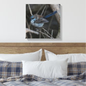 Toile Superbe Fairy-wren Bird Australie (Insitu(Chambre))