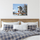 Toile Superbe perroquet gris africain (Insitu(Chambre))