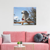 Toile Superbe perroquet gris africain (Insitu(Salon))