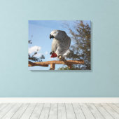 Toile Superbe perroquet gris africain (Insitu (Plancher de Bois))