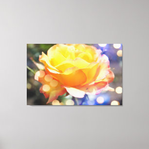 Toile Superbe rose jaune fleur. Photographie florale