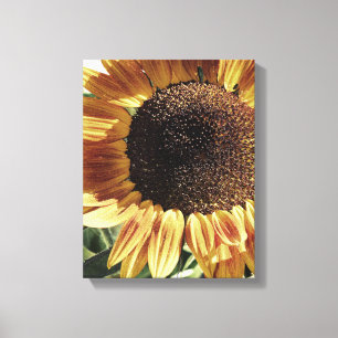 Toile Superbe tournesol Photo de Cherie Floral