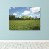 Toile Sur l'ensemble du champ ouvert : vue grand angle (Insitu (Plancher de Bois))