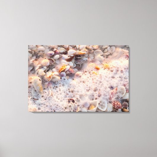 Toile Surf Et Coquillages Entrants Sur L'Île De Sanibel (Recto)
