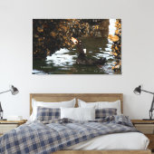 Toile Surf Scoter Fête sur les moules et les Barnacles (Insitu(Chambre))