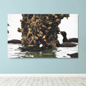 Toile Surfs étonnants canards à canards à canne à basse (Insitu (Plancher de Bois))