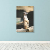 Toile Suricate (Insitu (Plancher de Bois))