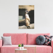 Toile Suricate (Insitu(Salon))