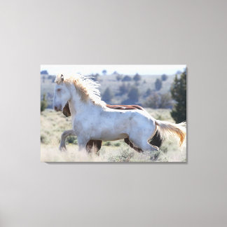 Toile survivant enrobée