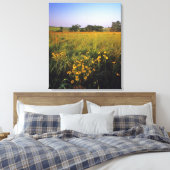 Toile Susans aux yeux noirs dans la prairie à herbes hau (Insitu(Chambre))