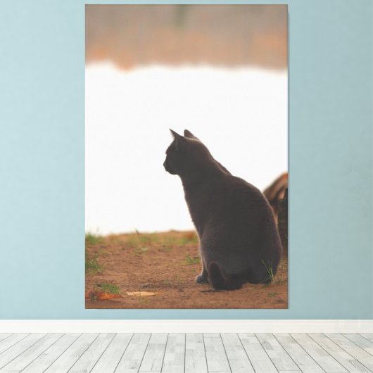 Toile Suspendre (Insitu (Plancher de Bois))