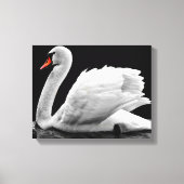 Toile Swan (Recto)