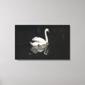 Toile Swan (Recto)