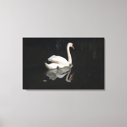 Toile Swan (Recto)