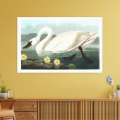 Toile Swan commun (Insitu(Salon))