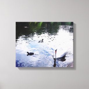 Toile SWAN NAGER DANS UN poster JARDIN ANGLAIS