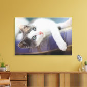 Toile Sweet Kitty Dans Lit Plaid (Insitu(Salon))