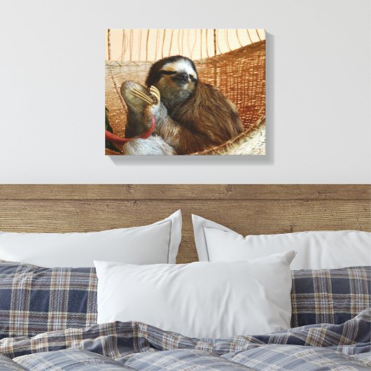 Toile Sweet Sloth (Insitu(Chambre))