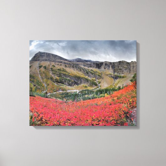 Toile Swiftcurrent Pass Trail - Parc national des Glacie (Recto)
