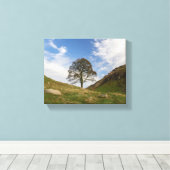 Toile Sycamore Gap en automne (Insitu (Plancher de Bois))