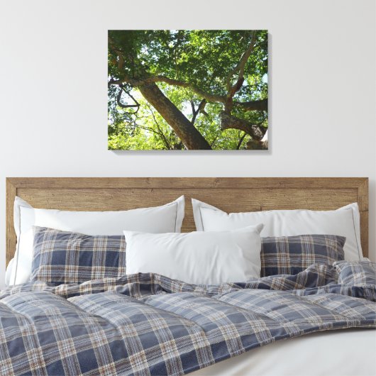 Toile Sycamore Tree Nature verte (Insitu(Chambre))