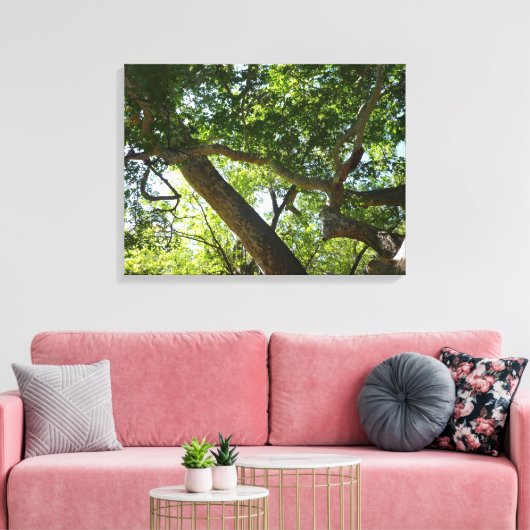 Toile Sycamore Tree Nature verte (Insitu(Salon))