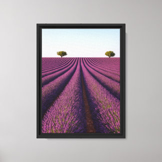 Toile Symétrie du chemin du champ Lavender