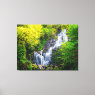 Toile Symphonie de la nature : les cascades de Killarney