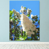 Toile Syringa , arbre à fleurs de lilas blanc (Insitu (Plancher de Bois))