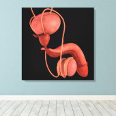 Toile Système de reproduction chez les hommes humains 1 (Insitu (Plancher de Bois))