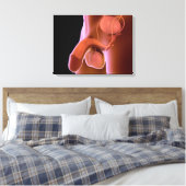 Toile Système de reproduction chez les hommes humains 4 (Insitu(Chambre))