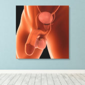 Toile Système de reproduction chez les hommes humains 6 (Insitu (Plancher de Bois))