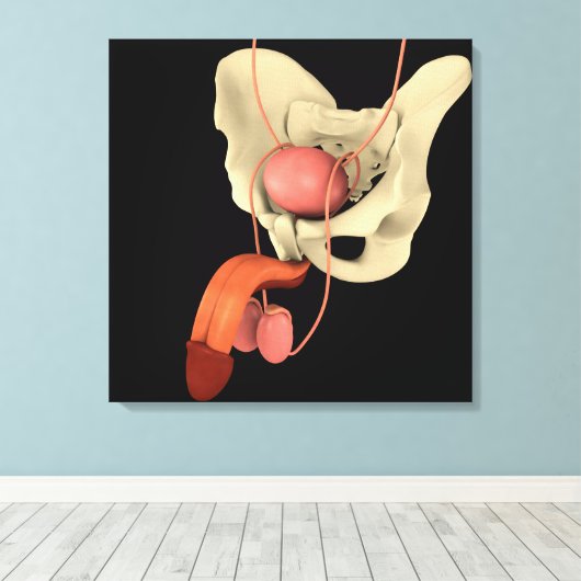 Toile Système de reproduction masculine 2 (Insitu (Plancher de Bois))