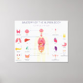 Toile Système des organes humains (Recto)
