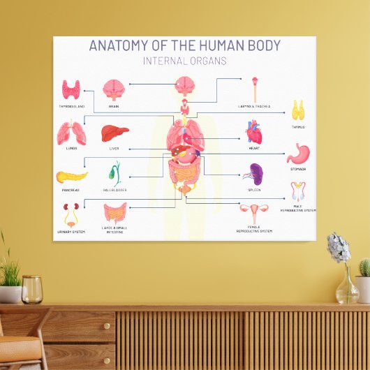 Toile Système des organes humains (Insitu(Salon))