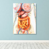 Toile Système Digestif Et Circulatoire Féminin (Insitu (Plancher de Bois))