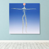 Toile Système nerveux central avec cerveau humain (Insitu (Plancher de Bois))