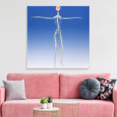 Toile Système nerveux central avec cerveau humain (Insitu(Salon))