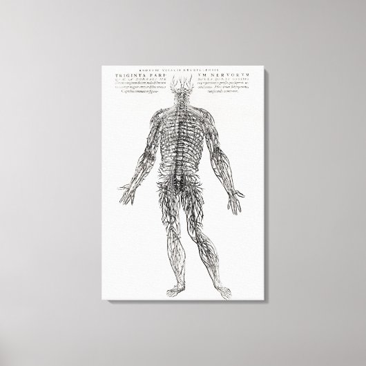 Toile Système nerveux (impression b/w) (Recto)