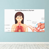 Toile Système respiratoire féminin (Insitu (Plancher de Bois))
