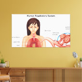 Toile Système respiratoire féminin (Insitu(Salon))